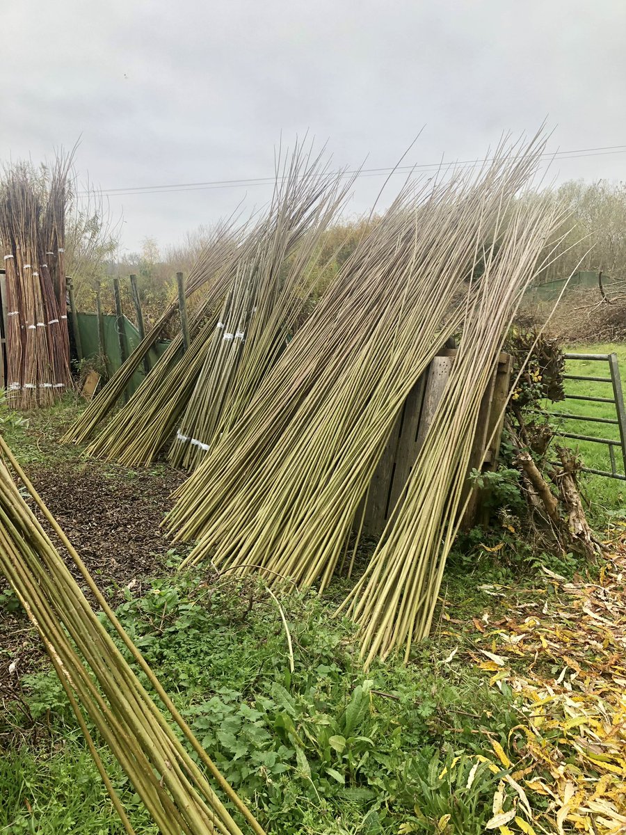 Delivering 1700 long #organic #willow  rods to <a href="/visitBrockholes/">Brockholes</a> in Preston <a href="/SoilAssociation/">Soil Association</a> this week. Rods available 1.5-3m tall, cuttings for hedging, windbreaks, soul stabilisation &amp; much more. Tel:0845 020 4225