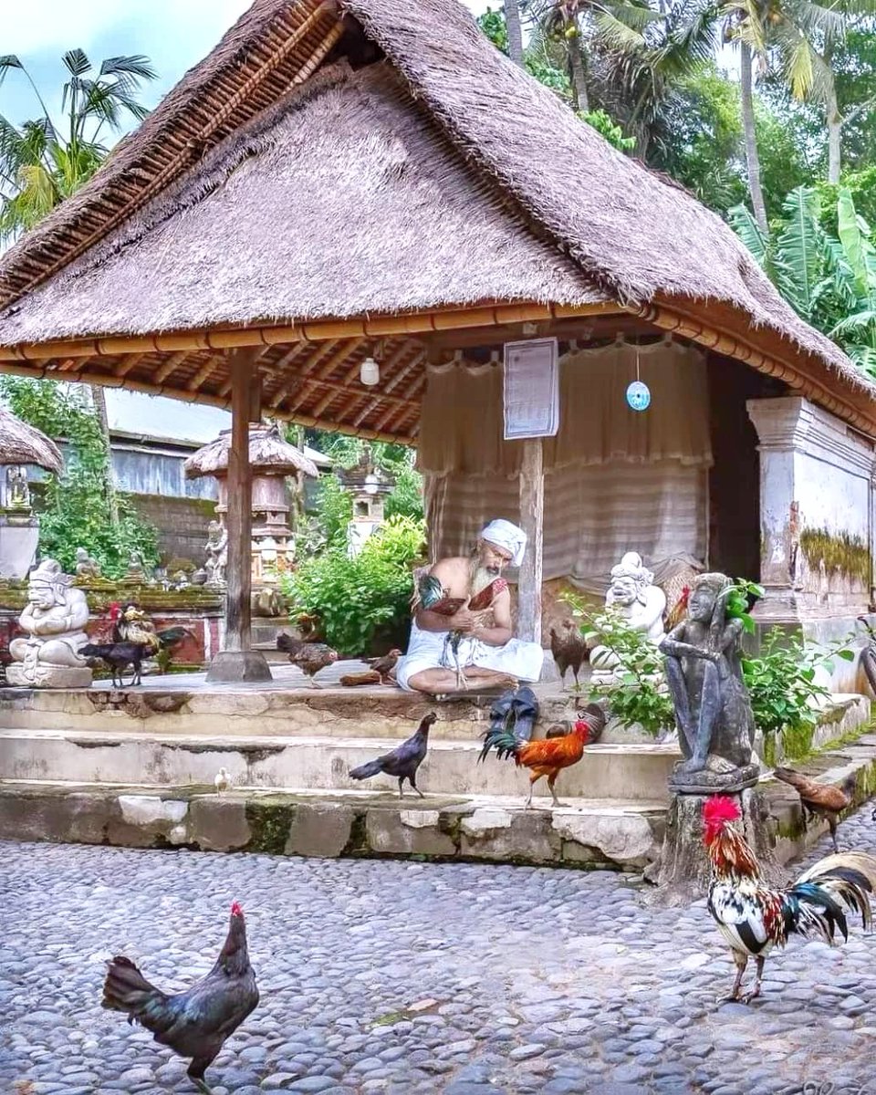 BagusPutu15872's tweet image. Rumah bali kuno, ,
Suka banget sy suasana rumah begini,,,,
Slalu damai dan rahayu ,,,
#sambil ngopi susu dikit 👍