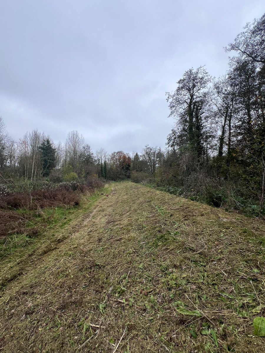 johnoflynnEA's tweet photo. #WestHantsFieldTeam clear vegitation on new(ish) #Romsey Flood Scheme embankments.This is important to maintain the structural integrity of these assets to continue protecting local residents &amp; businesses.#floodaware @TestValleyBC @Daas1901
@SandraGidley @romseytc @hantsconnect https://t.co/l9gGmNkmpp