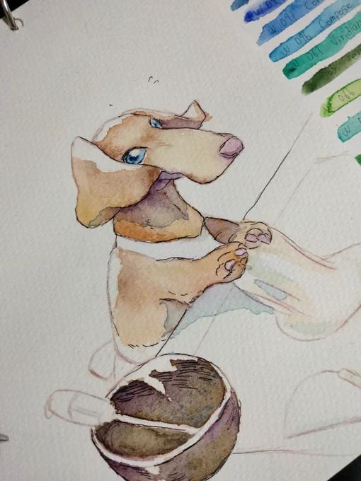#drawing #watercolourholbein watercolours are amazing.100均の絵の具は初心者には使いこなせなかった 