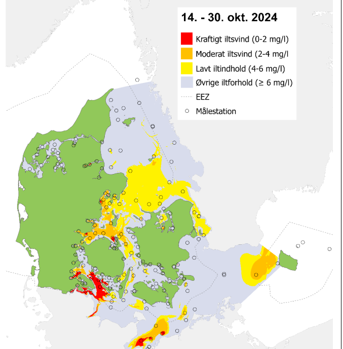KristinMClement's tweet photo. Iltsvindets udbredelse i oktober 2024 var 5-7 gange større end i oktober 2021, 2022 og 2023. Værst står det til i flere af de områder, hvor regeringen med scenarie 3 vil stoppe eller mindske indsatserne for at nedbringe landbrugets forurening med kvælstof 🤯
#dkpol #dkgreen https://t.co/yymhhpz0lV