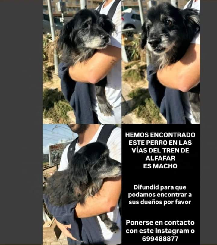 Cascarilla (@cascarilla9) on Twitter photo 