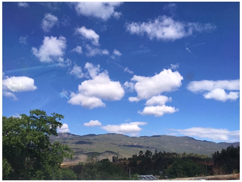 sdoss4's tweet image. 