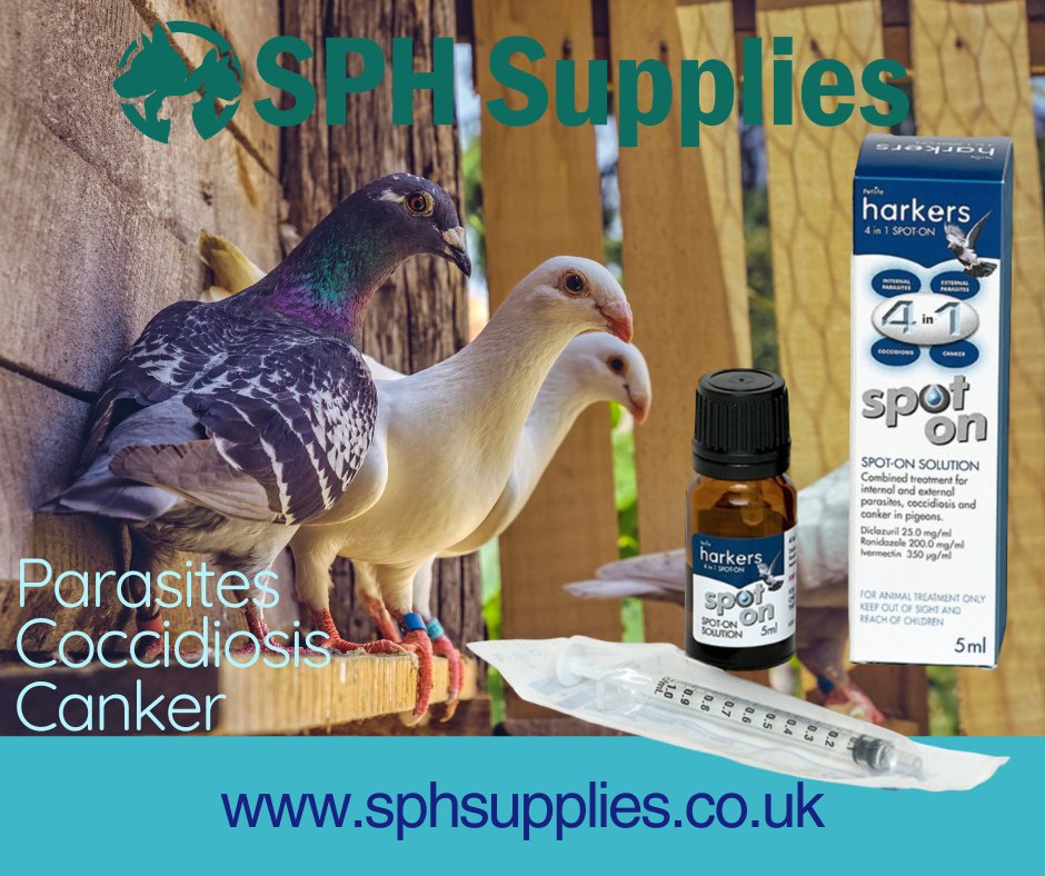 Your feathered friends will feel like they've been to a spa day! (minus the little bathrobes)
HARKERS 4 in 1 SPOT ON for treating internal and external Parasites, Coccidiosis &amp; Canker.
sphsupplies.co.uk/shop/birds-53/… #birdhealth #pigeonhealth #pigoenfancier #homingpigeons #pigeonracing