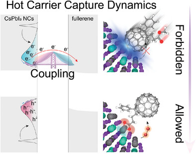 junke_jiang's tweet photo. Great to see this work finally out! Our study with halide perovskite nanocrystal and fullerene hybrids reveals that efficient hot carrier capture hinges on donor-acceptor coupling, not just carrier lifetimes. Discover how ground-state complexes dramatically boost capture efficiency to ≈76%, redefining hot carrier applications. A wonderful collaboration with Prof. Qing Shen @uectokyo Thanks to everyone who contributed to this research! https://t.co/33gJ5eyUPY