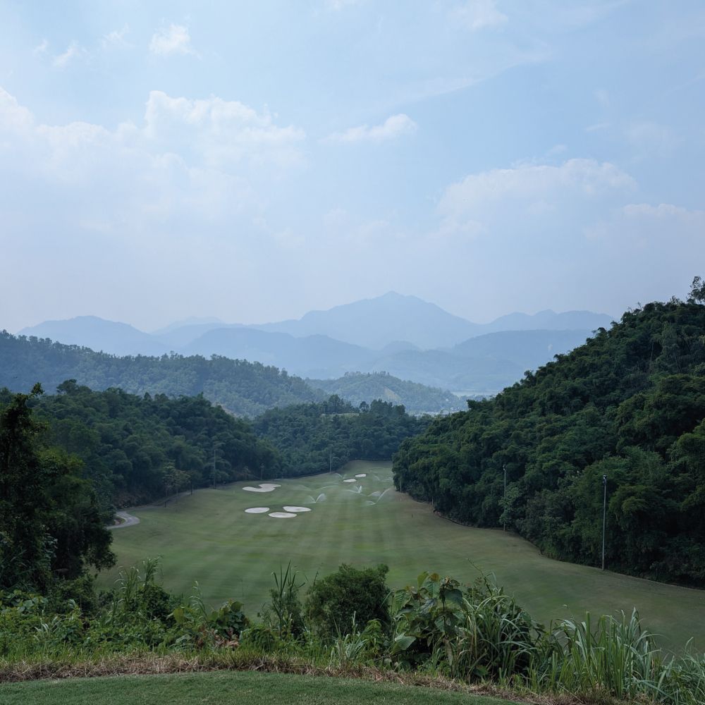 Indigrow tweet media