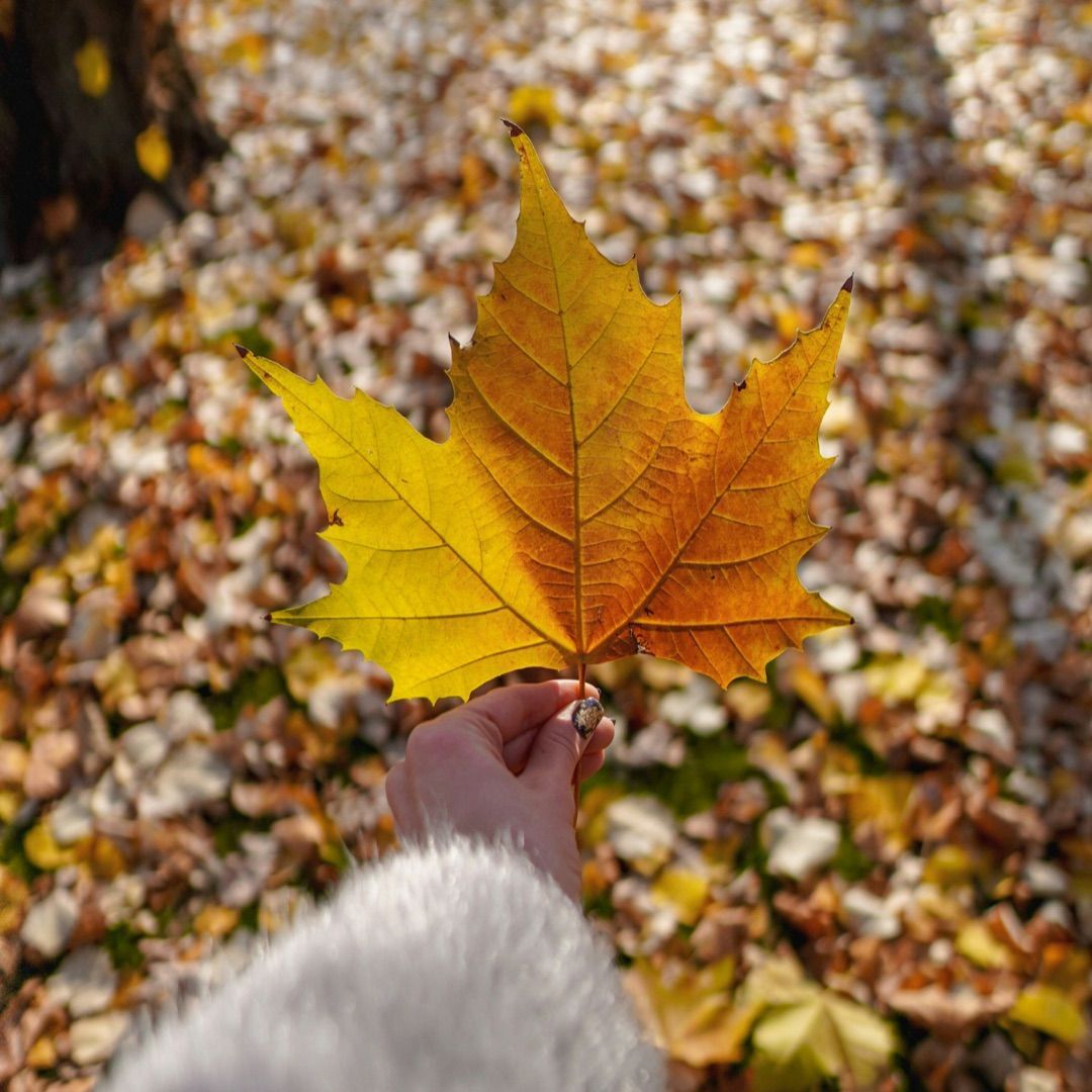 May you perceive all God is accomplishing in and through you because of your current battles! May you suddenly feel stronger on every front because Jesus is alive in you! You have a spiritual agility and sharpness about you that’s a direct result of the challenges you’ve faced.