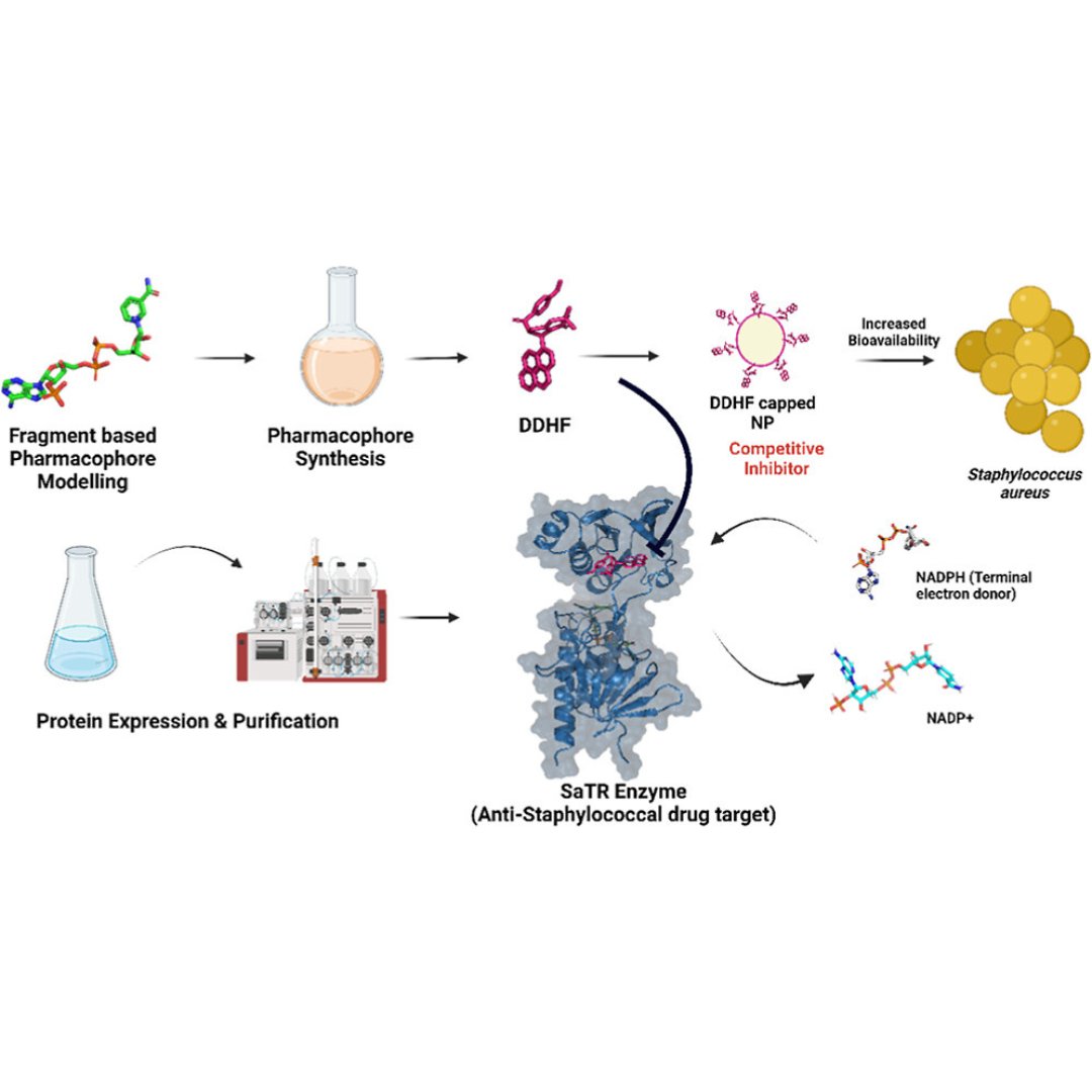 ACS_Omega (@acs_omega) on Twitter photo In this paper, the authors have designed, synthesized, and in vitro validated dimedone-coupled 2,3-dihydrofuran (DDHF)-based inhibitor scaffolds against Staphylococcal thioredoxin reductase (SaTR).
Read more: go.acs.org/bzx
<a href="/iitjodhpur/">Indian Institute of Technology Jodhpur</a> In this paper, the authors have designed, synthesized, and in vitro validated dimedone-coupled 2,3-dihydrofuran (DDHF)-based inhibitor scaffolds against Staphylococcal thioredoxin reductase (SaTR).
Read more: go.acs.org/bzx
<a href="/iitjodhpur/">Indian Institute of Technology Jodhpur</a>