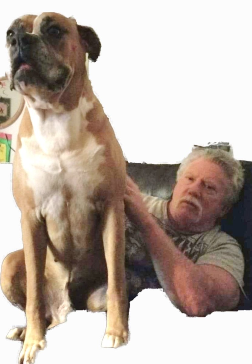 BIG DOG SAYS " WE HAVE IT ALL" (The House and The Senate) !