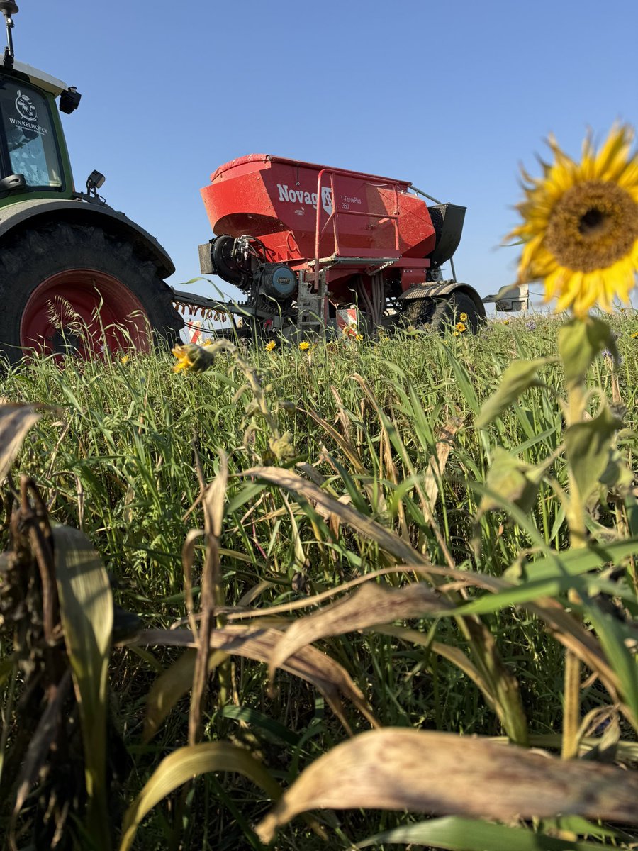 Franz Winkelhofer tweet media