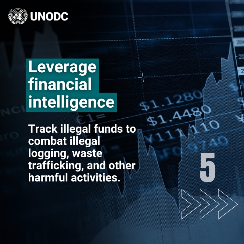 UNODC's tweet photo. Illegal deforestation, marine pollution, crimes in the fisheries sector and waste trafficking weaken our ecosystems' ability to mitigate climate change.

During #COP29 our mission is to raise awareness of crimes that degrade and harm the environment.

#endENVcrime