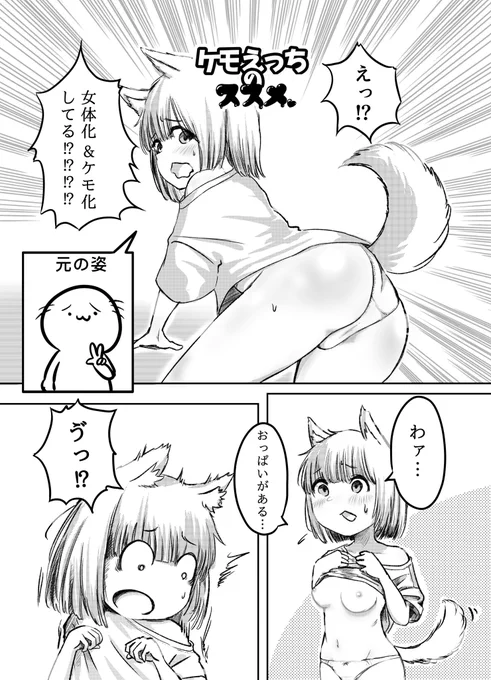 (1/2) 