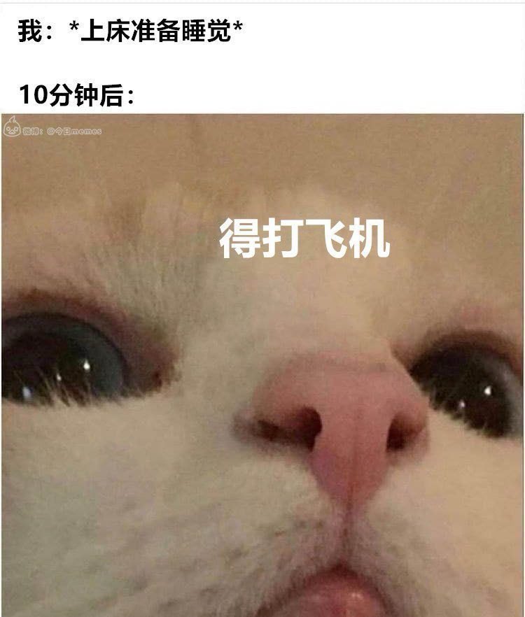 禿道道🐟 tweet media