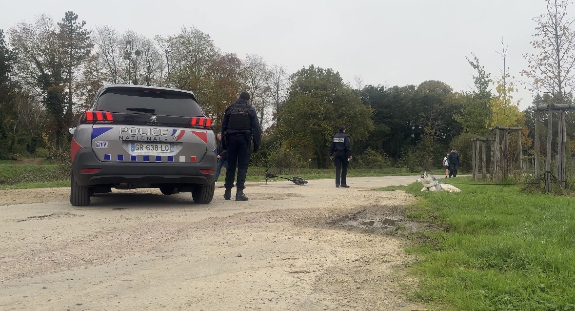 #Rennes Ce vendredi 8 novembre, vers 10h30 , une femme qui promenait son chien a été percutée par un homme en trottinette électrique : la victime est en urgence absolue. L'accident a eu lieu sur le chemin de halage, près de l'écluse St-Martin.
