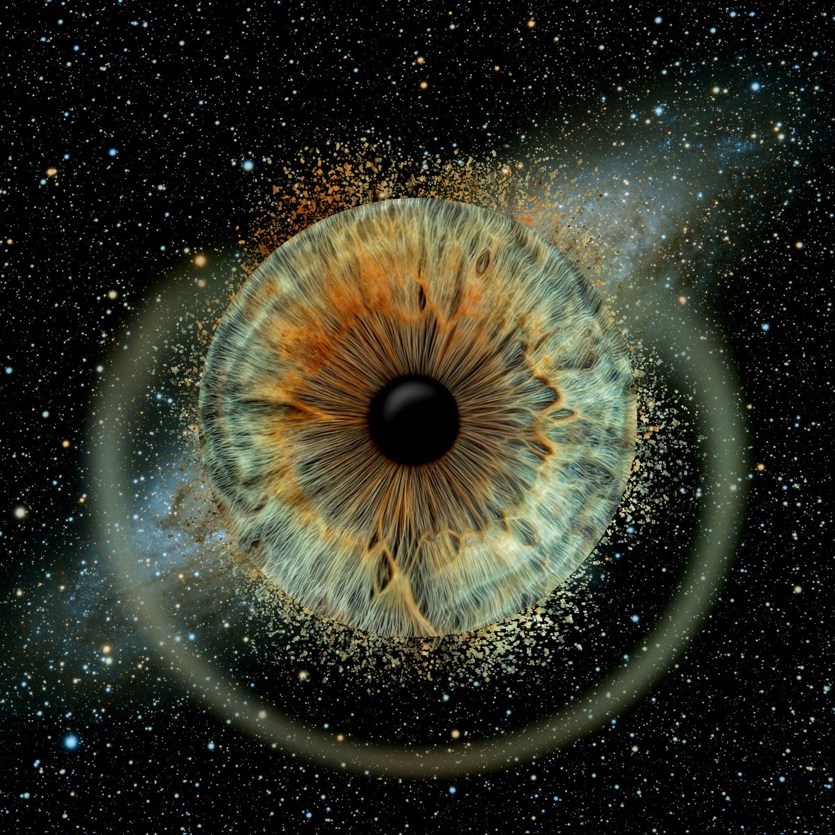 Damianum's tweet photo. Cada iris es único, como tú huella dactilar, incluso más.
Yo puedo hacerte tu sesión de iris para que presumas de tu ojo.
A qué esperas?❤️ https://t.co/3PR0KkUkWA