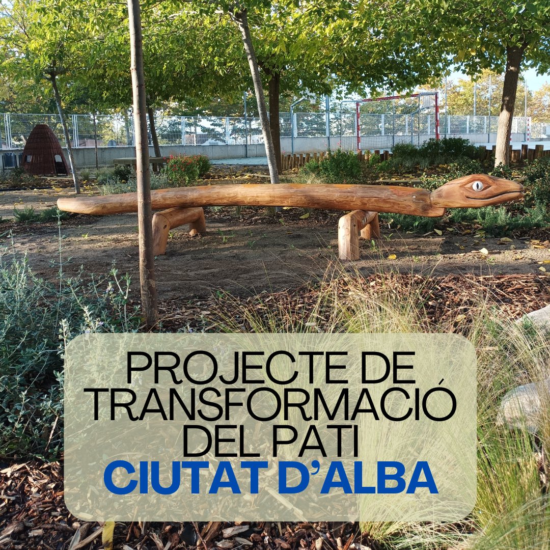 AFA Escola Ciutat d'Alba tweet media