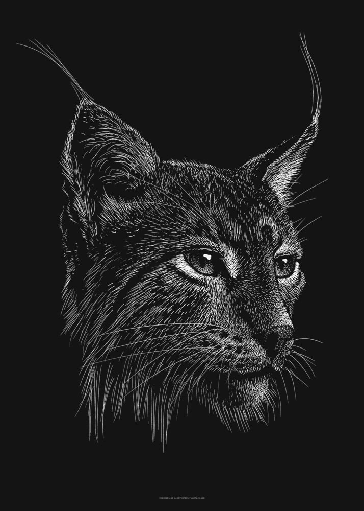 FrenchPaperArtC's tweet photo. "LYNX" / de Phillip Janta.
Lien https://t.co/kwNHyJI5CB
Format 50 x 70cm, sérigraphie sur papier noir 250g/m².
Utilisant la technique de la carte à gratter, l'artiste Phillip Janta dévoile un monde où chaque détail compte...
#scratchboard #phillipjanta #frenchpaperartclub https://t.co/x9tLEoDdYZ