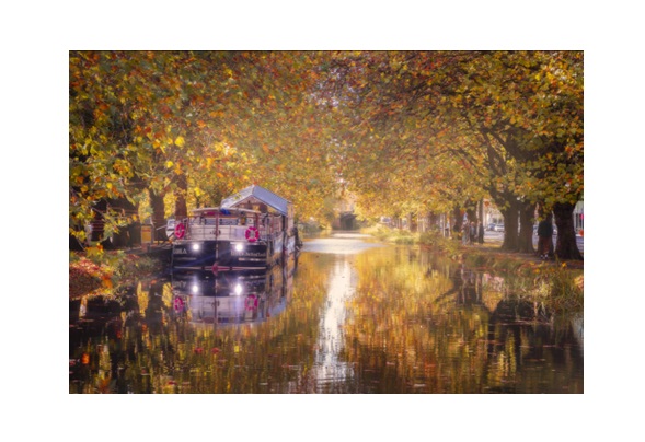 ClannHousing's tweet photo. Get your entries in for the final edition of this year's Four Seasons Photo Competition. For a chance to win one of three prizes, send us a photo that shows us what Winter means to you. Take some inspiration from our Autumn winners below. Find out more at https://t.co/JTw9fC9ypz https://t.co/oXldQ9iecd