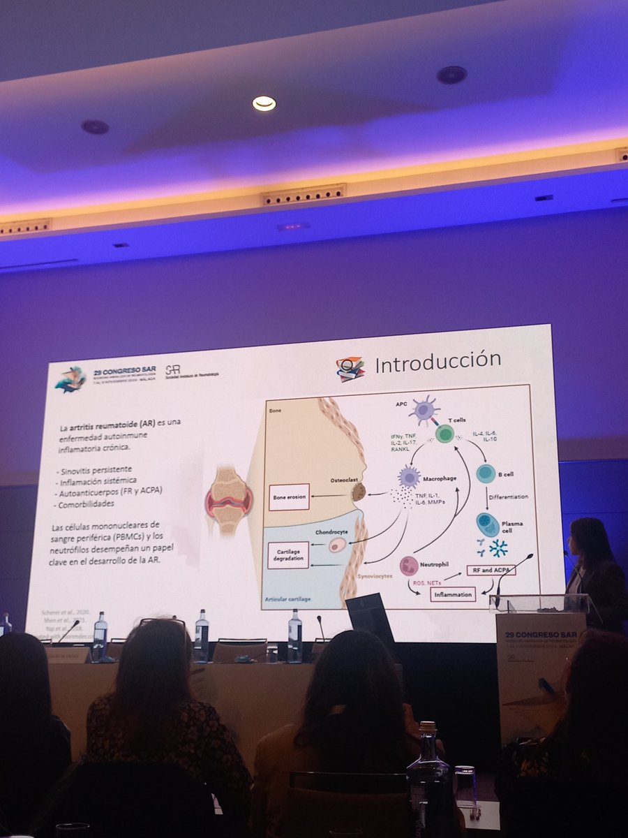 ReumaHURS's tweet photo. Muy orgullosos de que 3 de las 4 comunicaciones orales seleccionadas en el 29 Congreso SAR sean trabajos de nuestro equipo 👏🏼👏🏼 @HUReinaSofia @IMIBIC @05Enf @SEReumatologia https://t.co/LrR8eePu3e
