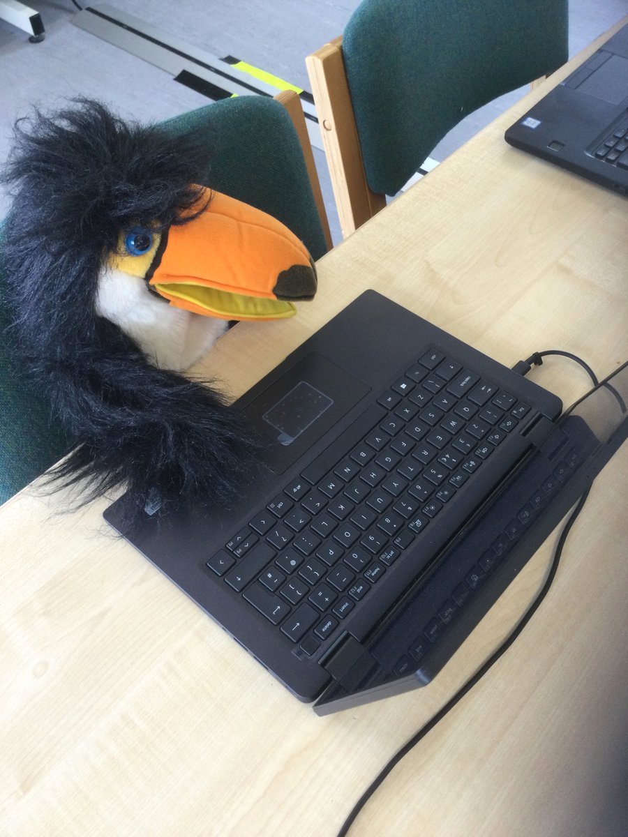 NNUH_Library's tweet image. Look who’s getting tech-savvy! Tommy is busy on one of our in-library laptops. Whether you’re studying, researching, or catching up on work, our laptops are here to keep you connected and productive. Join our mascot and make the most of your library! #LibraryMascot #NNUH