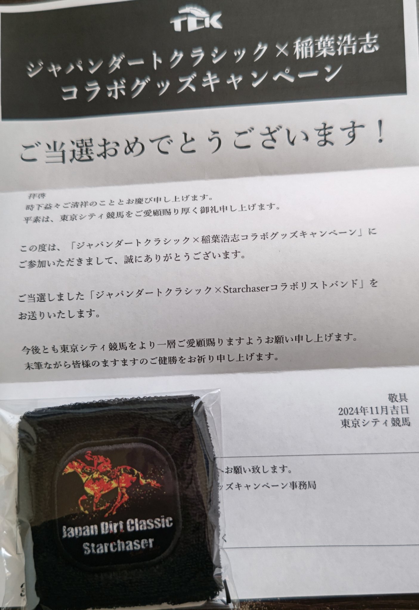 稲葉浩志×ジャパンダートクラシック コラボ リストバンド（B'z