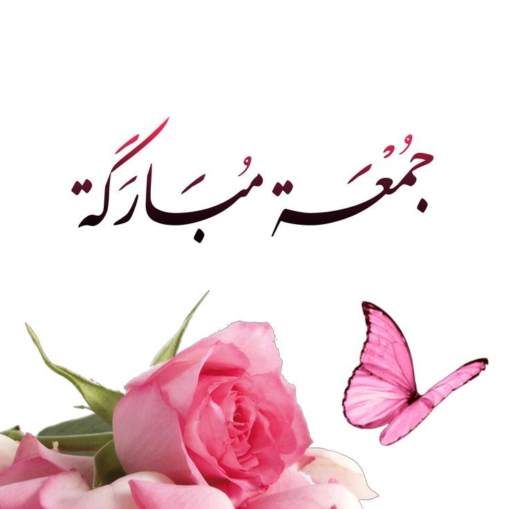 اسلام علیکم ورحمتہ اللہ وبرکاتہ ۔۔۔ 🌸
جمعہ مبارک۔۔۔۔۔🌸
بہت ساری نیک خواہشات کے ساتھ اللہ تعالیٰ آپ سب کی دعائیں آج کے مبارک دن کے صدقے قبول فرمائیں 
"آمین ثم آمین" 

Good afternoon X Mate's ✨🍁