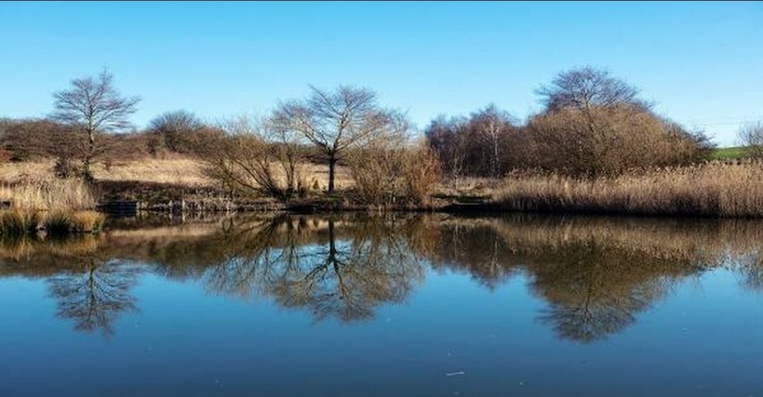 Christopher Z. Dlamini (PhD) tweet media