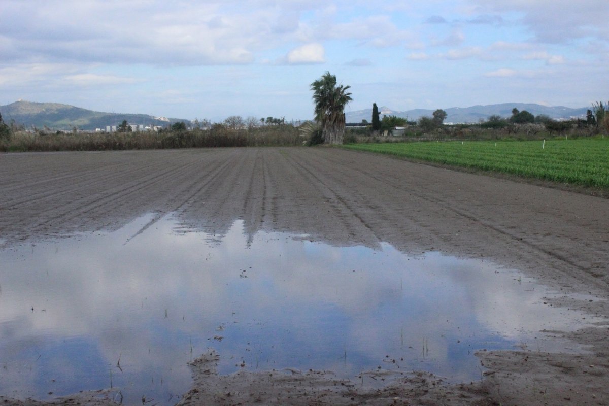 Almenys 3 causes diferents i un escenari comú: la polderització  linkedin.com/posts/josep-la… <a href="/oscarordeig/">Òscar Ordeig</a> <a href="/ViladecansTweet/">AjuntamentViladecans</a> <a href="/AjuntamentGava/">Ajuntament de Gavà</a>