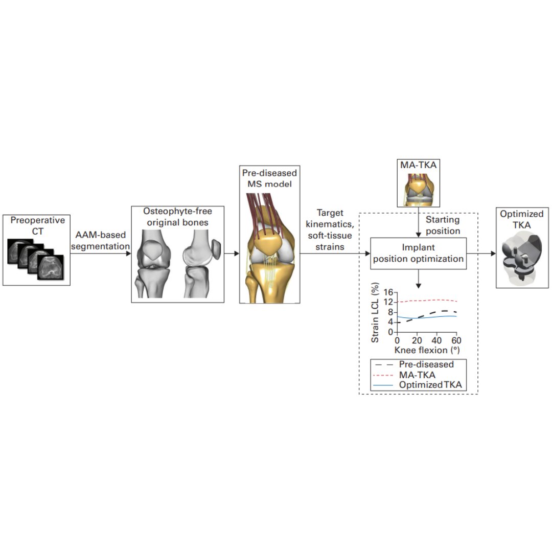 The Bone & Joint Journal tweet media