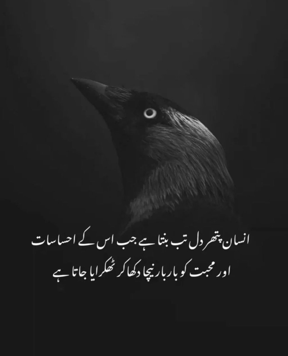Hafiz tweet media