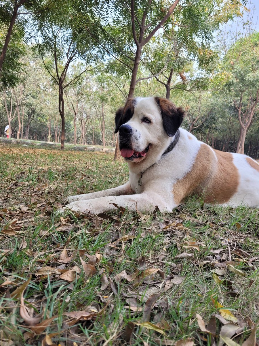 Taking a break.