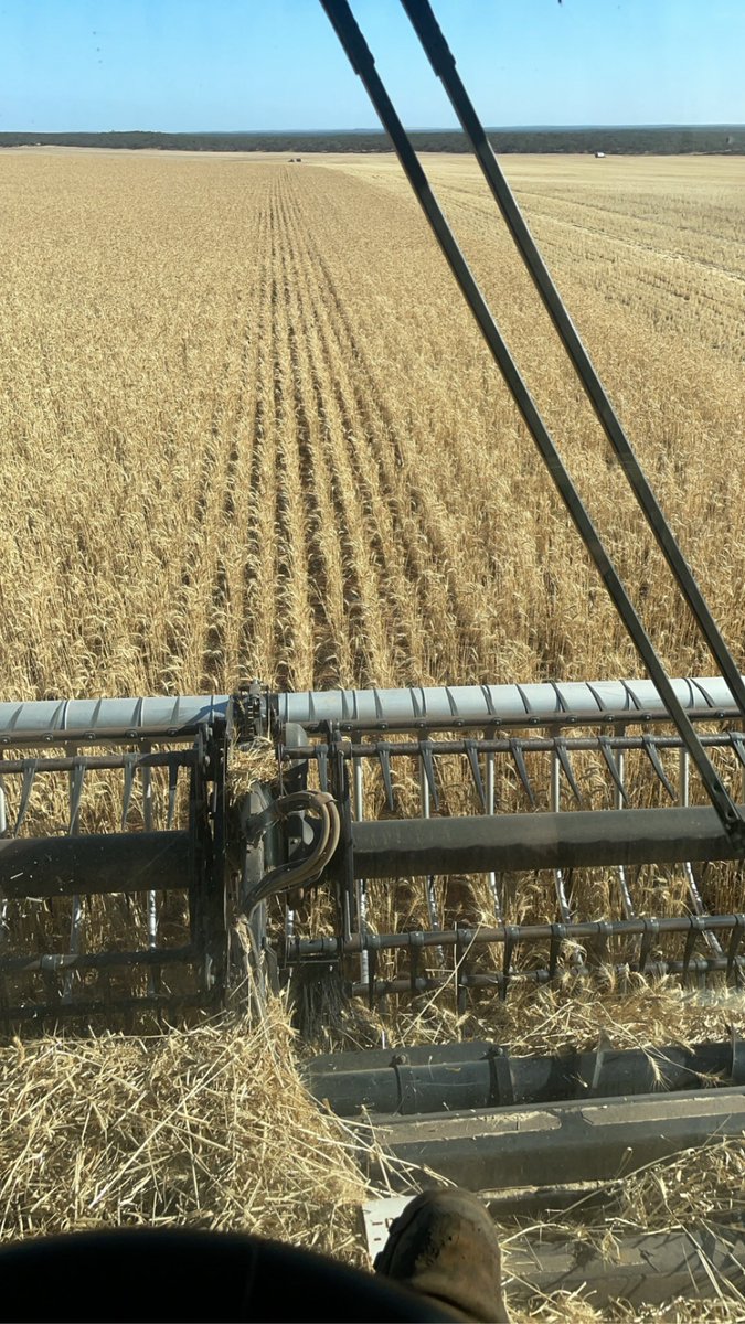 Tim Larwood 🇦🇺 tweet media