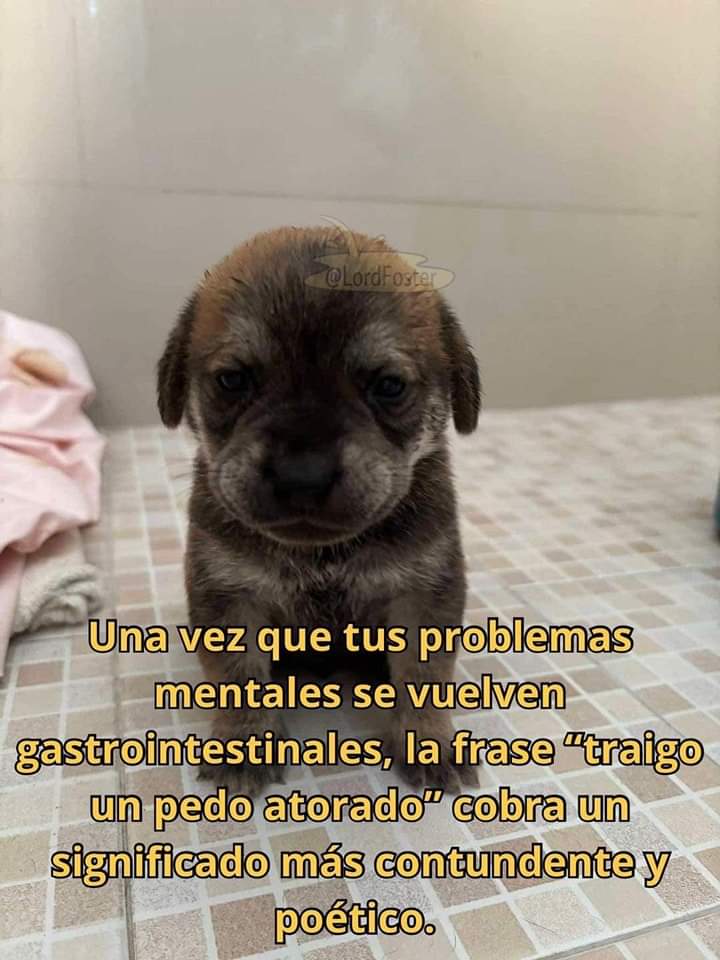 En_jupiter_'s tweet image. 