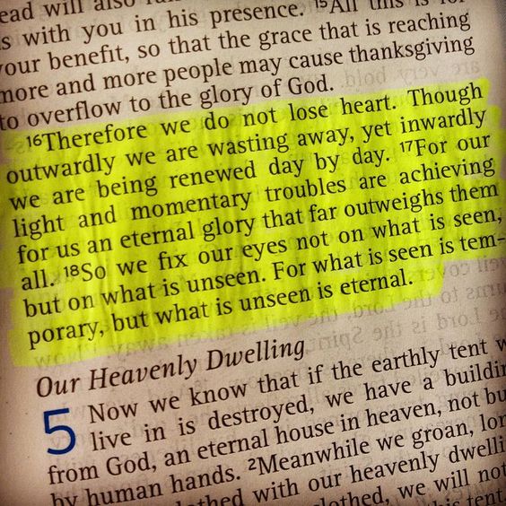 Bible 365 tweet media