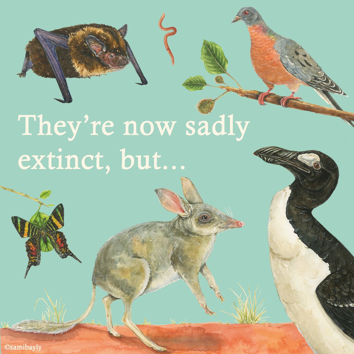 SamiBayly's tweet photo. Some powerful insights into some of the special animals from my new extinct book. 
Swipe across and have a read. https://t.co/DkPbYLazSr