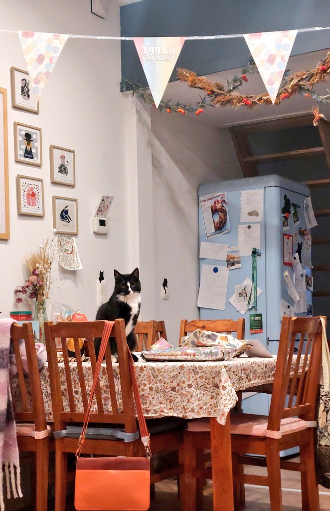 Rogue & Ranger tweet media