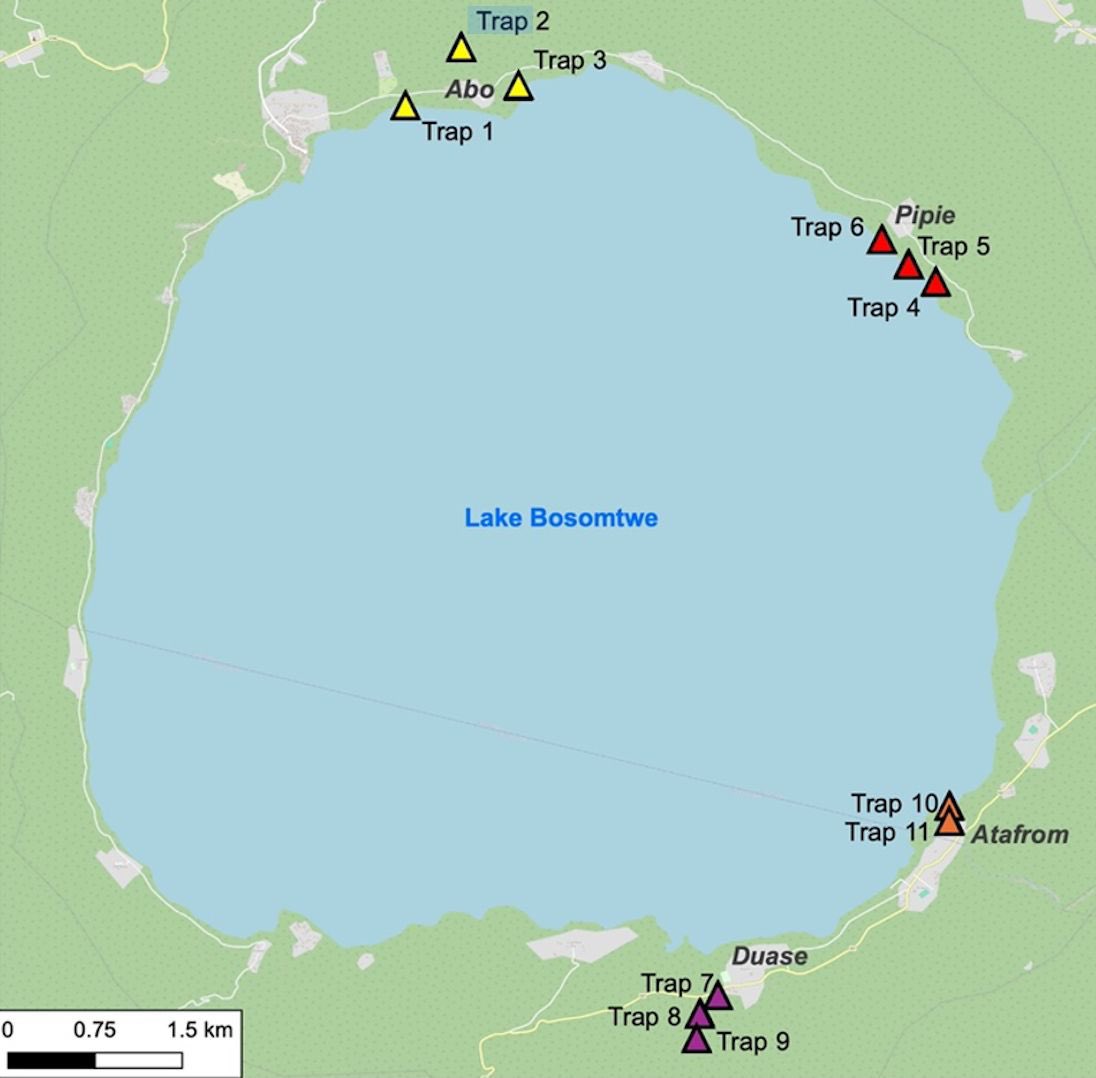 acdblab's tweet image. With Pipie and Obo communities now equipped with Malaise Traps, deployment around Lake Bosomtwe is a wrap! Looking forward to starting sample collection soon. 
#BiodiversityData #NbSProject