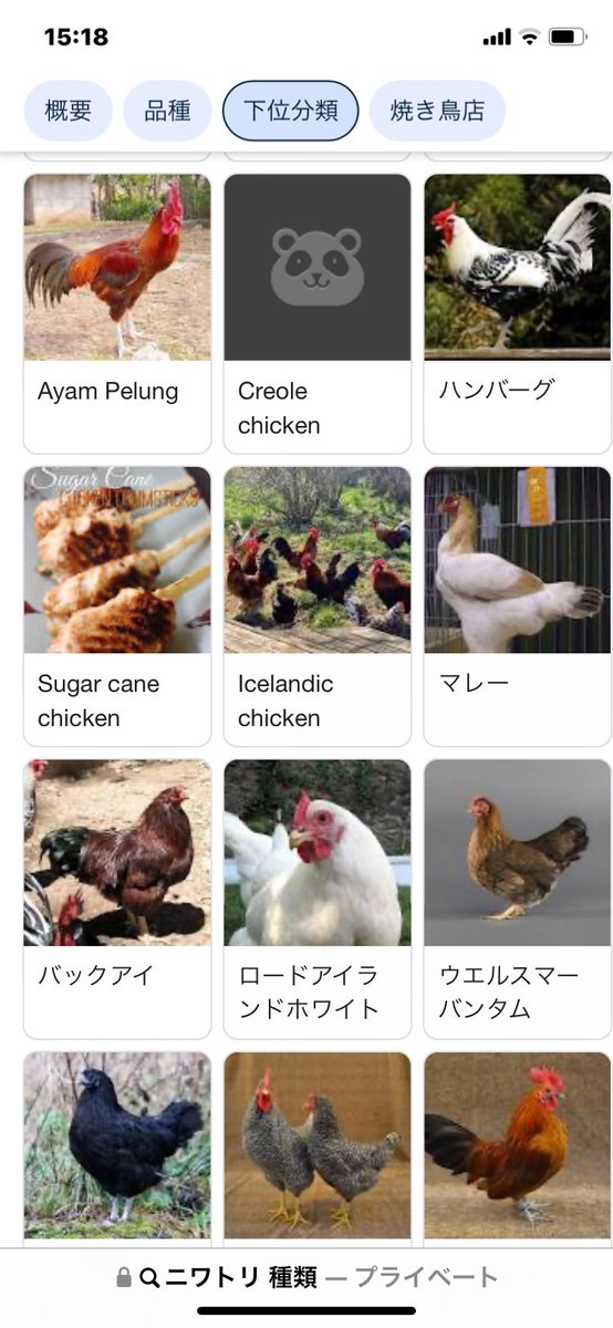 ニワトリ 種類』って調べたら、残酷なやつ混じってる