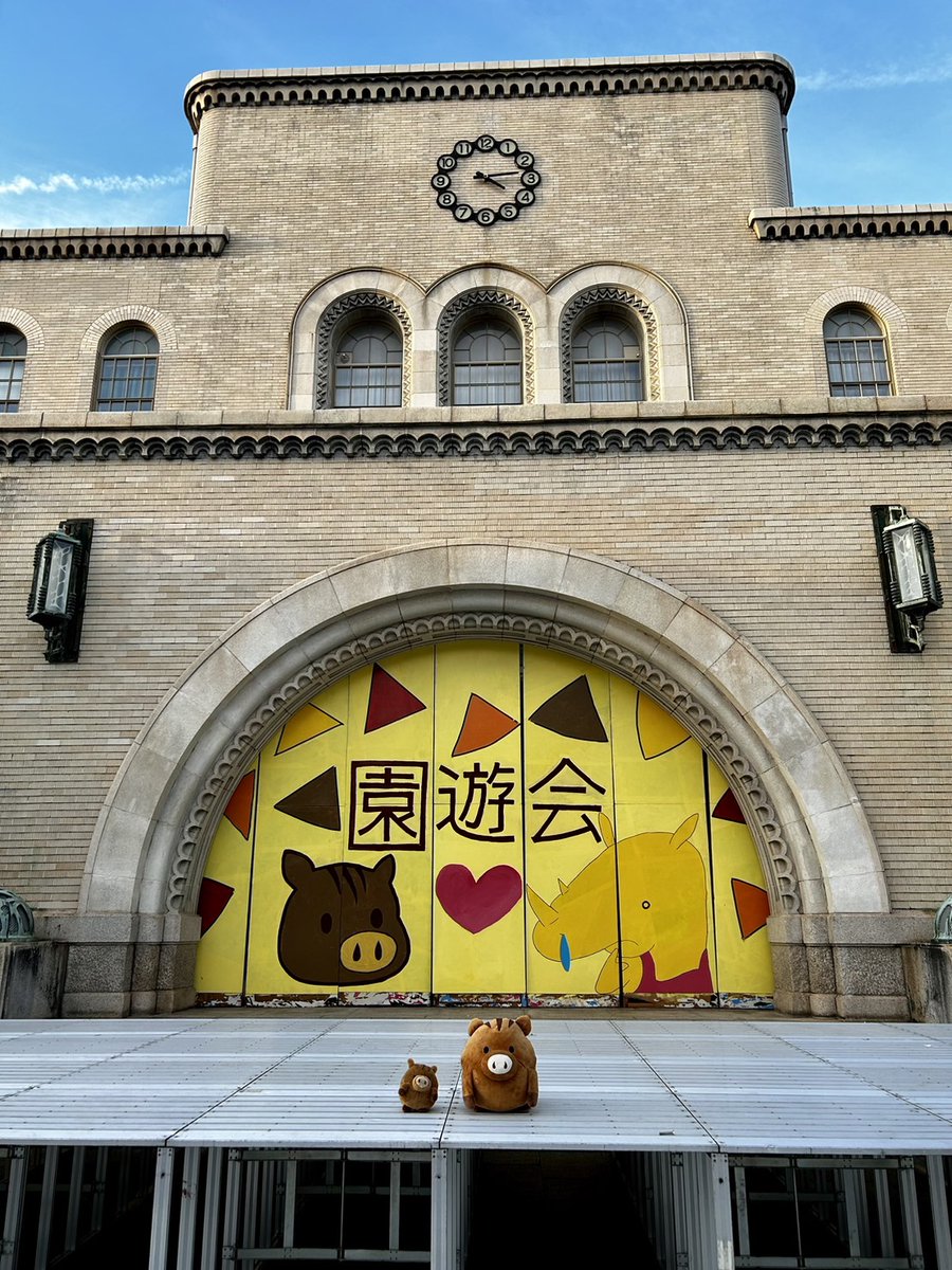 ryosokai's tweet image. 明日は六甲祭１日目ですね！
うりぼーたちも明日に向けてリハーサルを行っているようです🍂🎙️

＃六甲祭 ＃神戸大学 ＃凌霜会後援