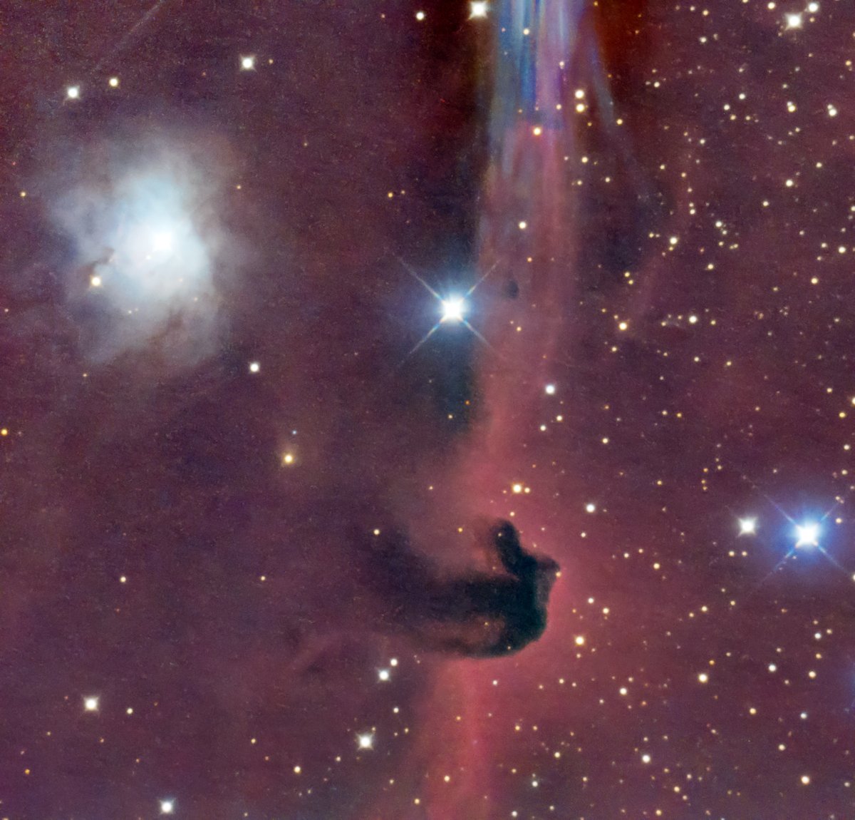 星空車掌 来年は午年か、星空で馬と言ったらこれだろうけど、馬の名前が付いて