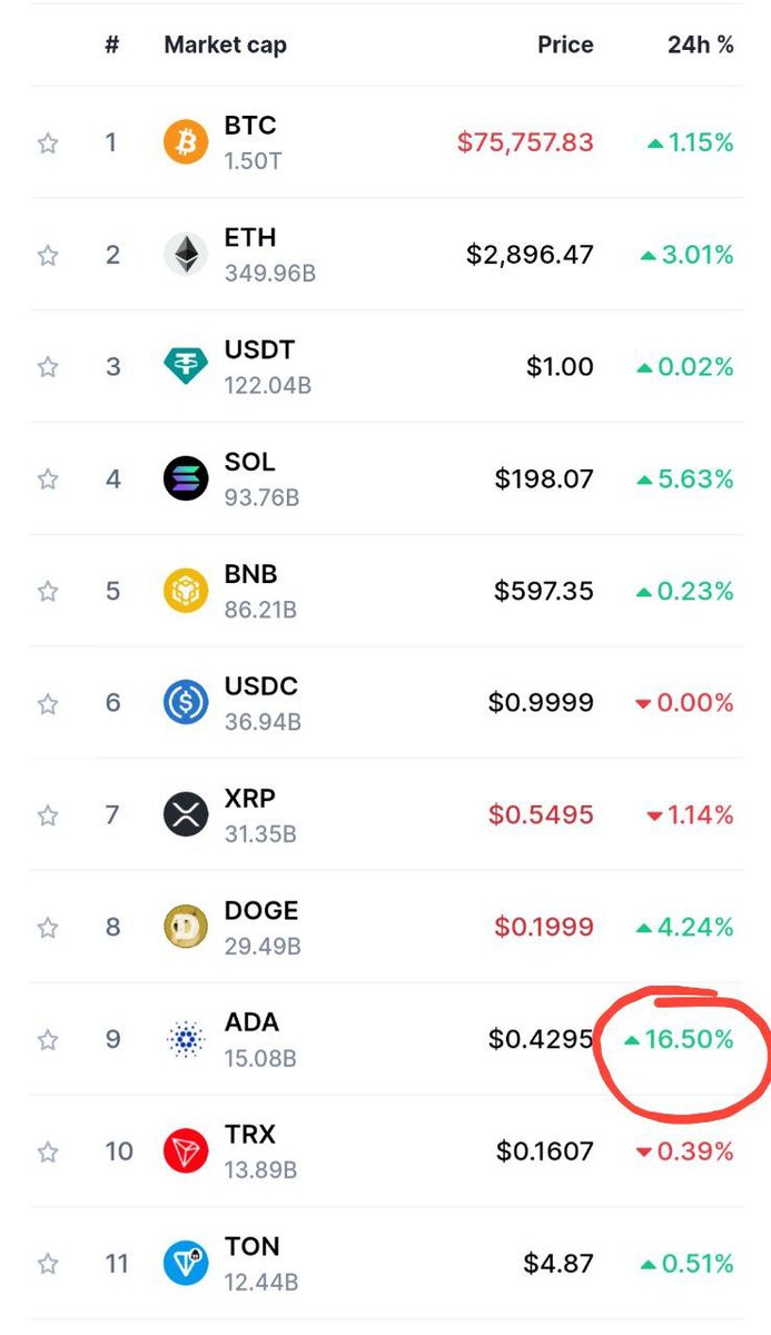 Purrito🫡 tweet media