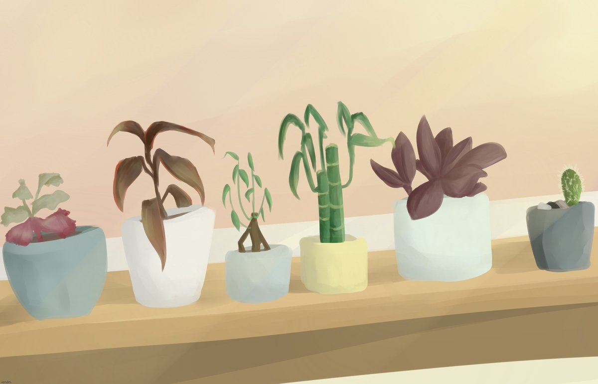 vendrafaxine's tweet photo. plants https://t.co/BrrhKQGHhe