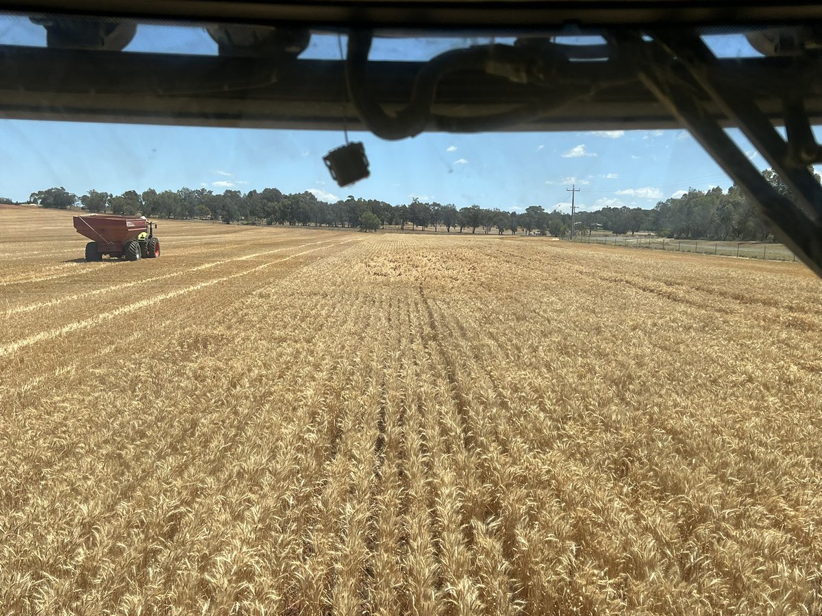 Barry Haskins tweet media