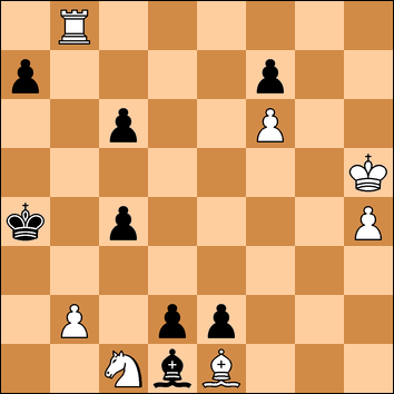 Jan Timman tweet media