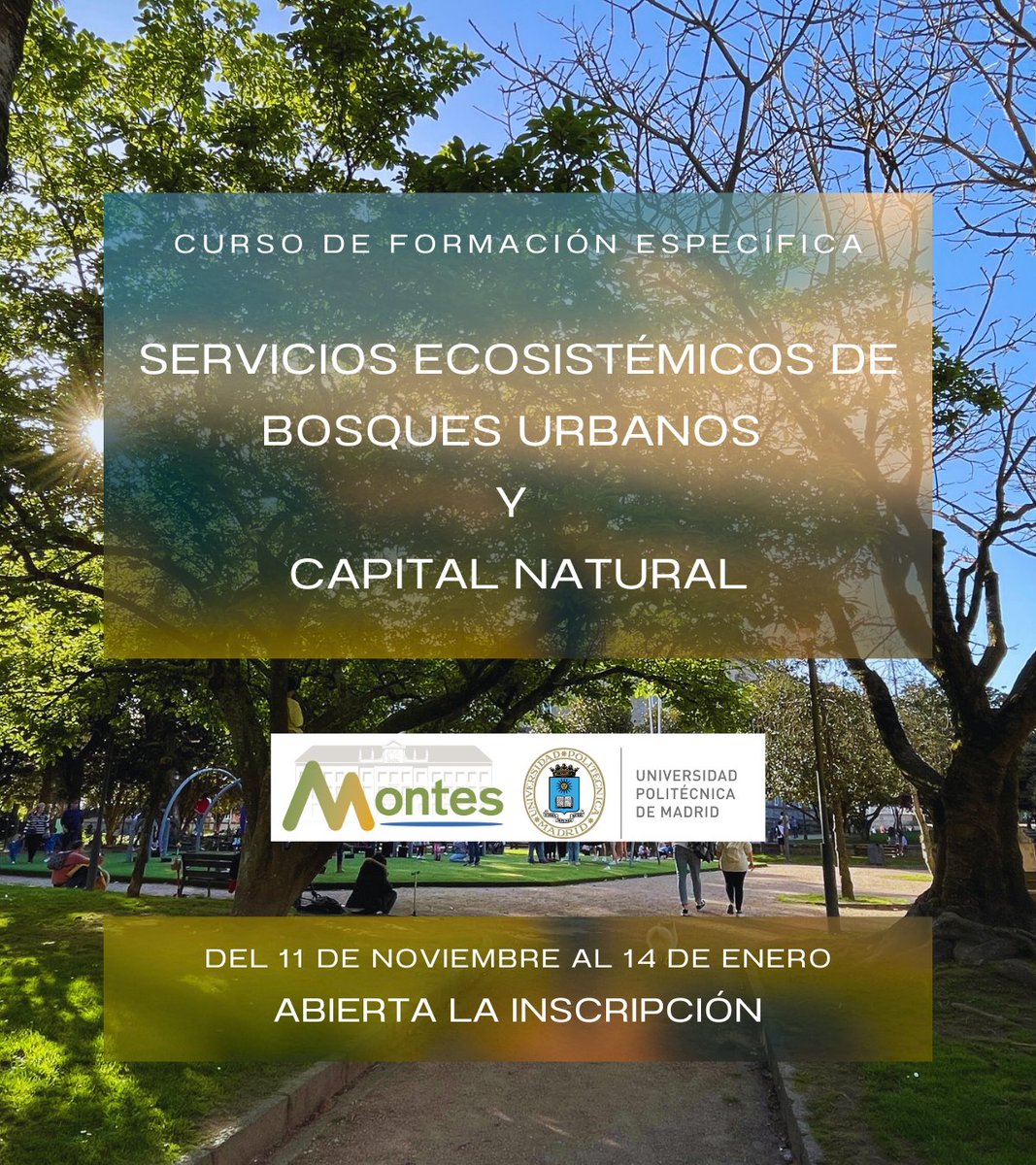 Máster en Jardines Históricos y SEIV tweet media