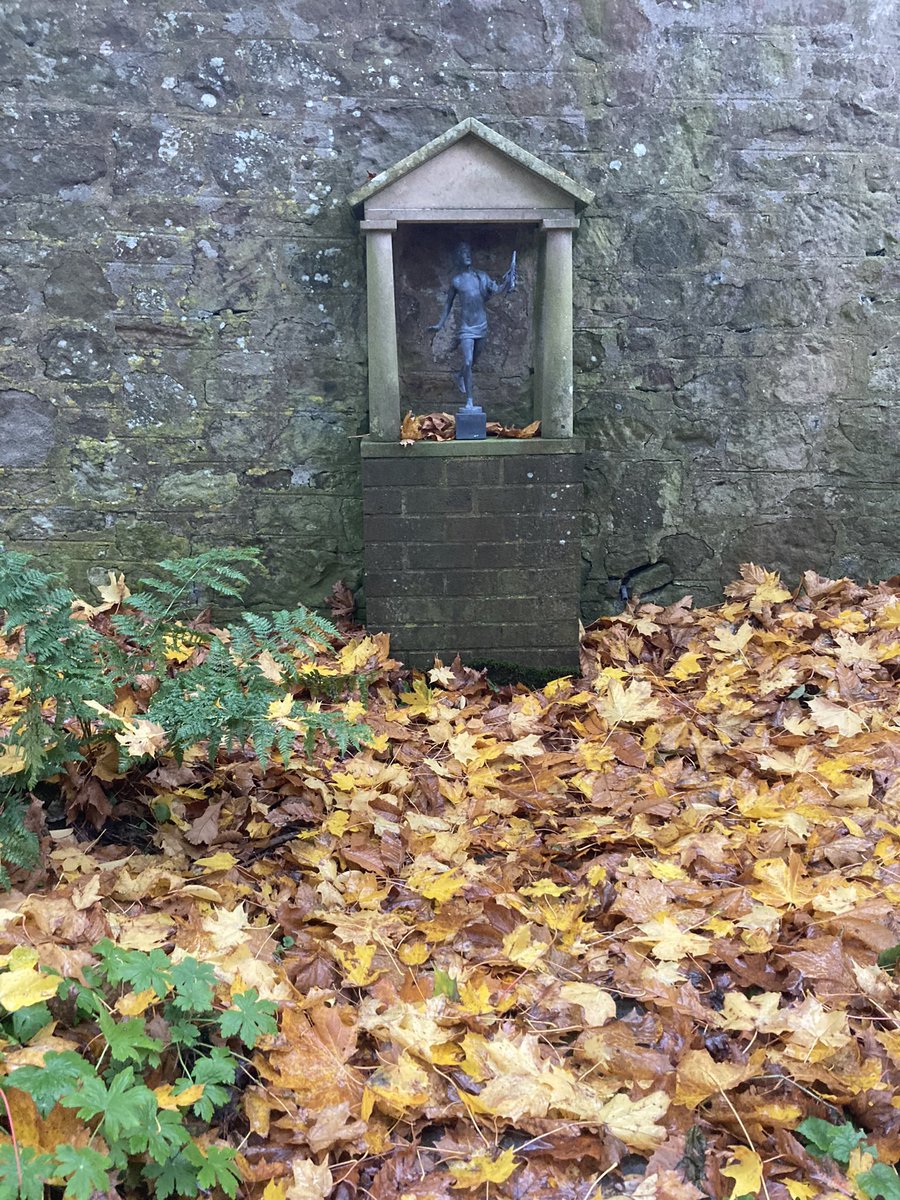 This week in the garden…. #littlesparta