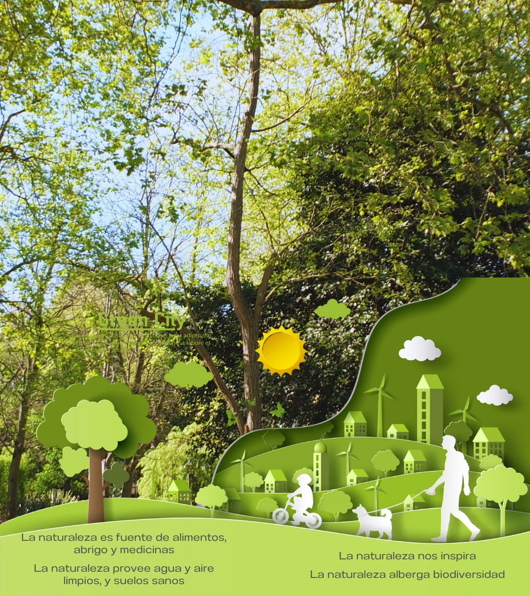 Máster en Jardines Históricos y SEIV tweet media