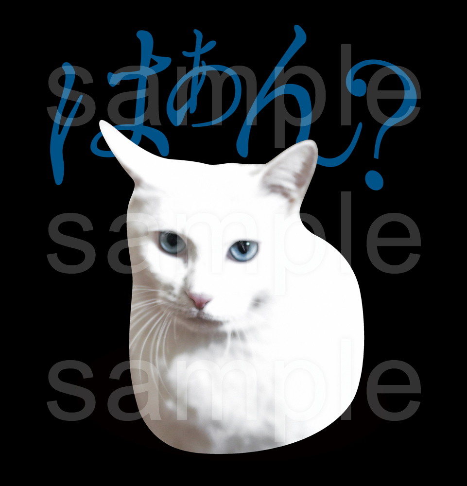 Tshirts_MessagE's tweet photo. 白ねこミームTシャツ「はぁん?」
うっせぇにゃ
https://t.co/AiDT0vycgT https://t.co/sWVuKsqhg6