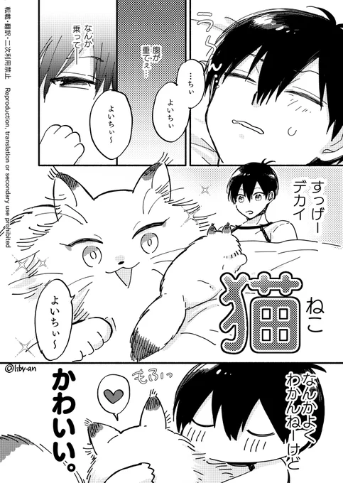 ねこkis

kiis / カイいさ 