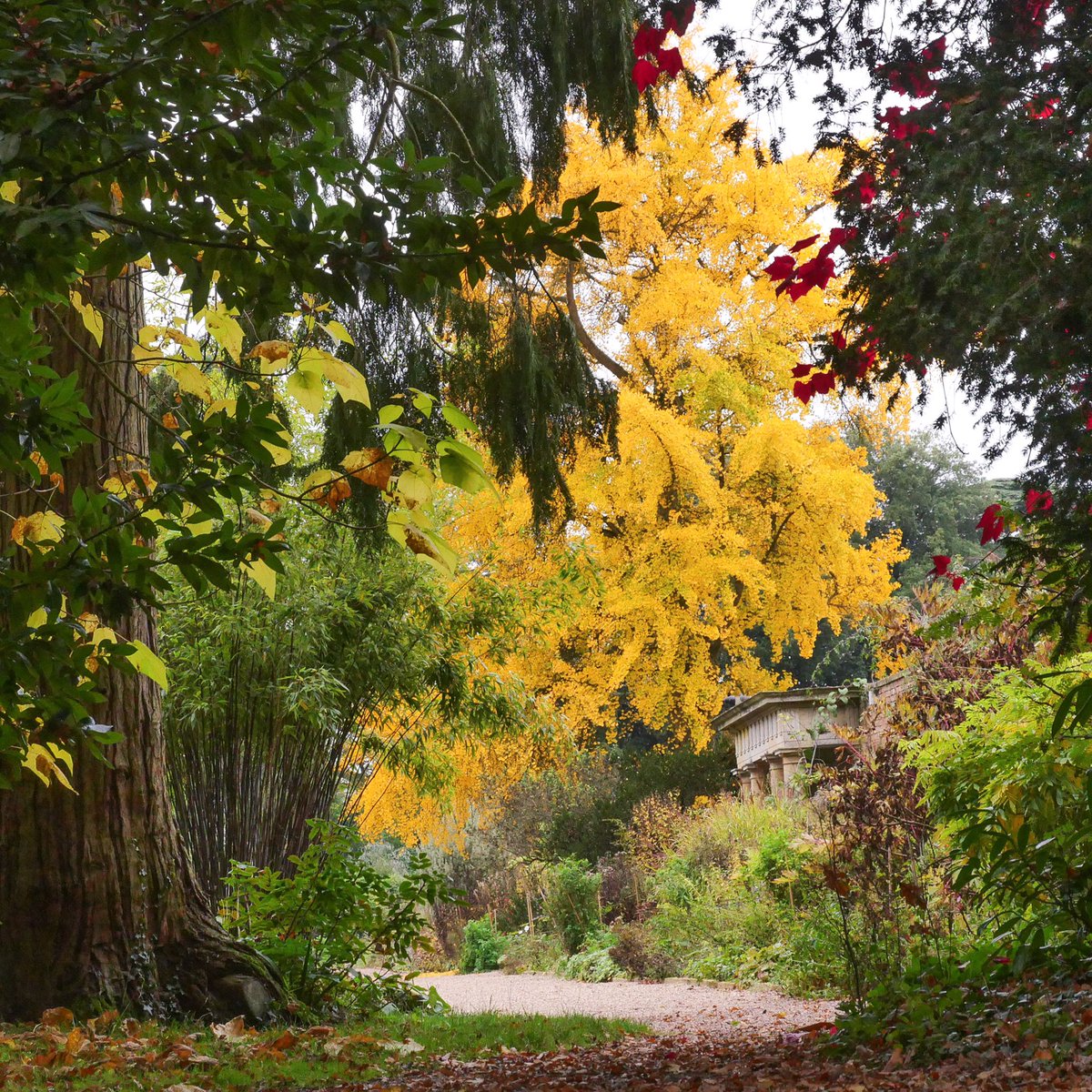 Spetchley Park tweet media